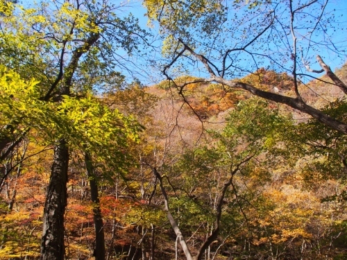 b0335256_21500105.jpg