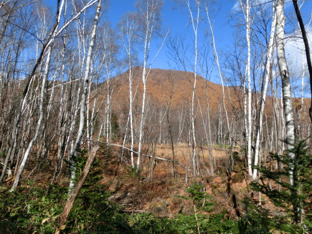 c0140260_23552425.jpg