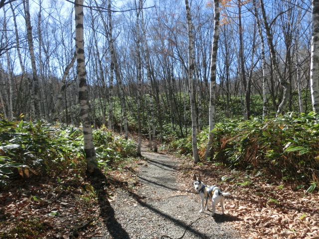 c0140260_23584657.jpg