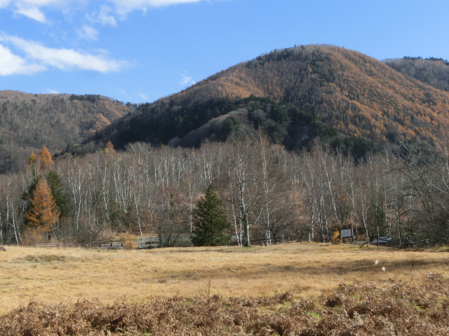 c0140260_23594595.jpg