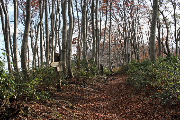 f0223068_12301213.jpg