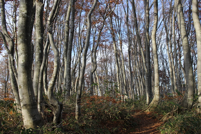 f0223068_12355470.jpg