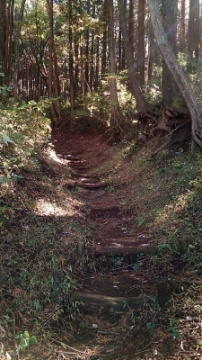 d0331971_15103905.jpg