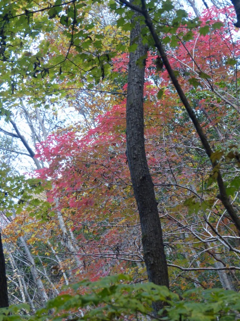 f0357487_23421280.jpg
