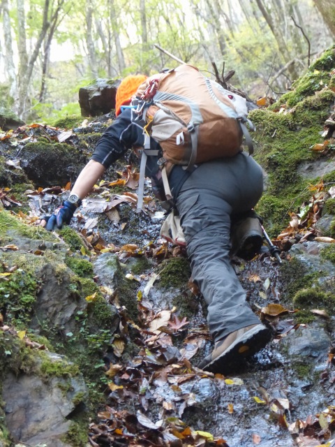 f0357487_2343369.jpg