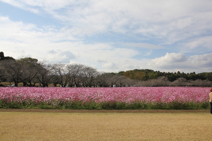 b0135889_15140650.jpg