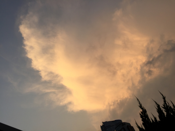d0135694_02171438.jpg