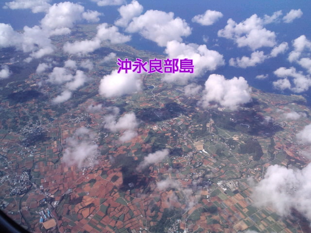 f0042295_1617414.jpg