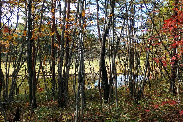 e0137200_1648202.jpg