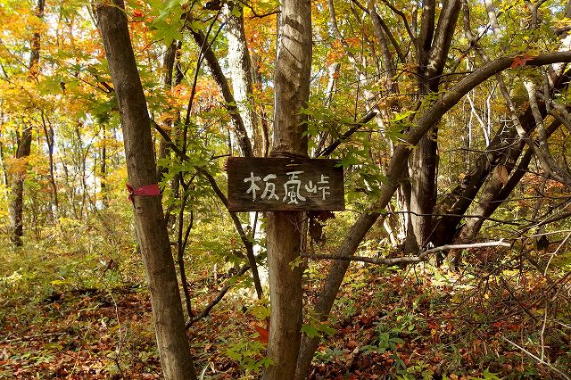 e0137200_1649442.jpg