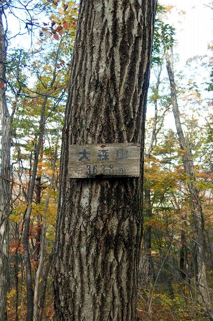 e0137200_1650214.jpg