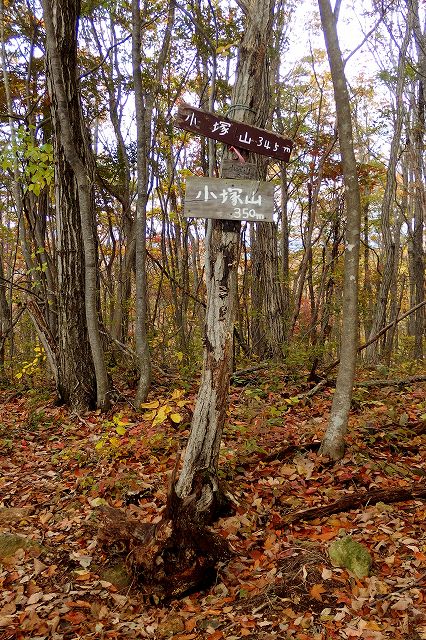 e0137200_16522824.jpg
