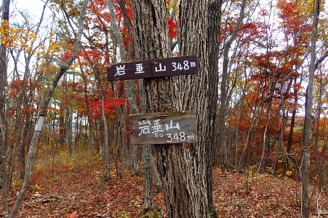 e0137200_1710895.jpg