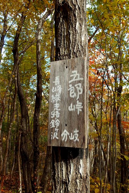 e0137200_17112398.jpg