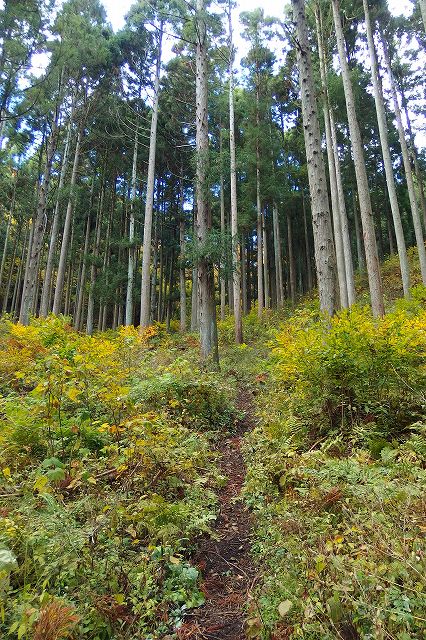 e0137200_17172062.jpg