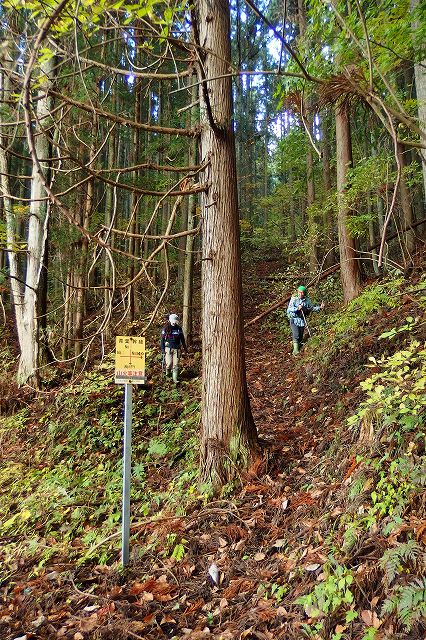 e0137200_1720405.jpg