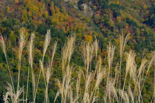 e0304001_2192586.jpg