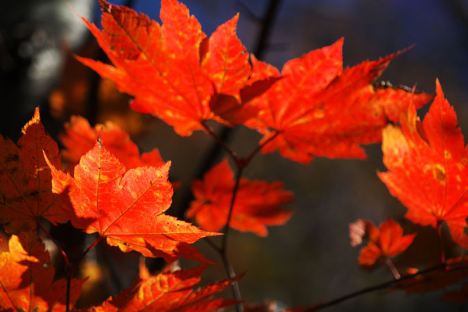 a0263109_13112989.jpg