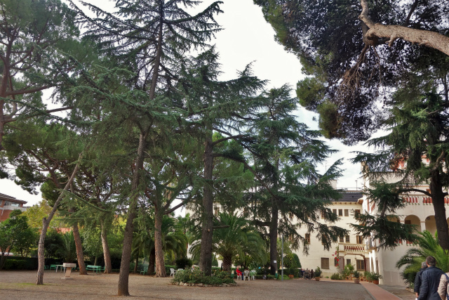 b0064411_06110546.jpg