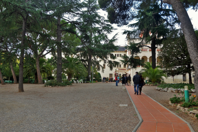 b0064411_06110554.jpg