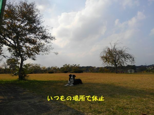 d0224111_17453698.jpg