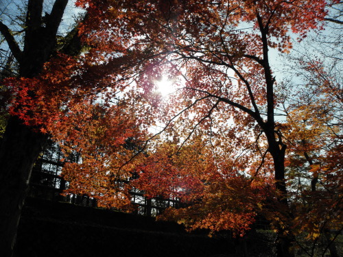 b0342516_21163756.jpg