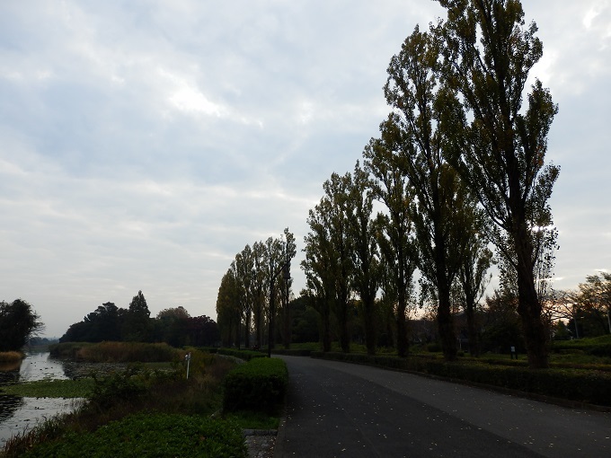 e0341417_21483454.jpg