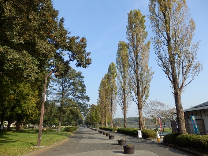 e0341417_22004850.jpg