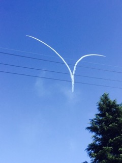 e0019320_8294147.jpg