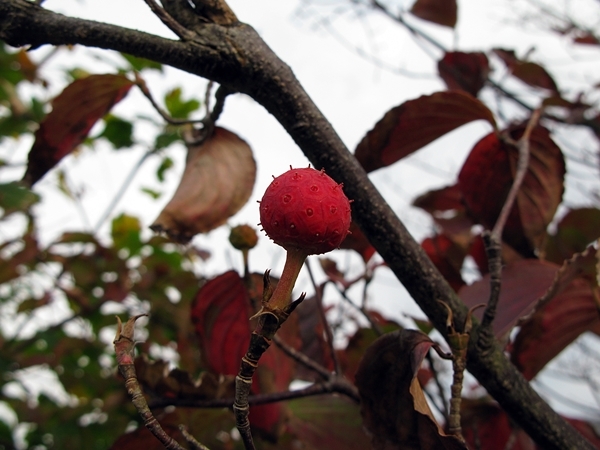 f0129726_22012034.jpg
