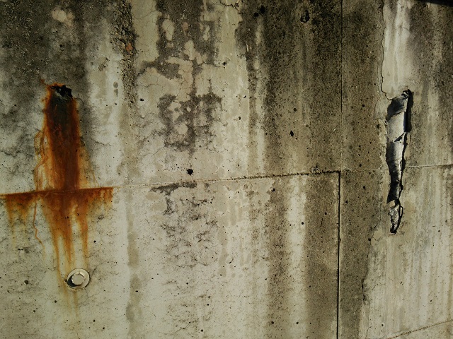 c0236527_046129.jpg