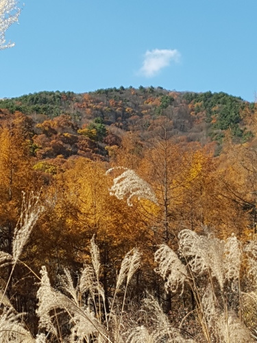 e0016828_12193804.jpg