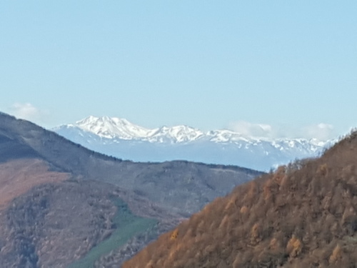 e0016828_12224428.jpg