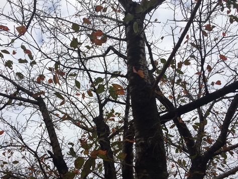 c0077330_1349837.jpg