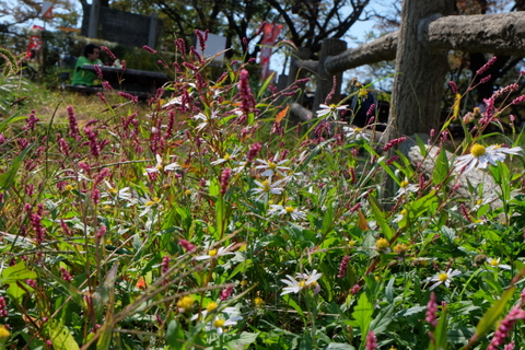 b0281732_14273379.jpg