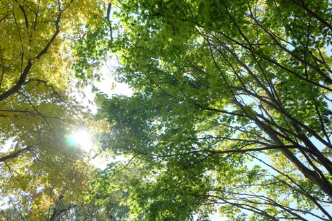 b0281732_14282230.jpg
