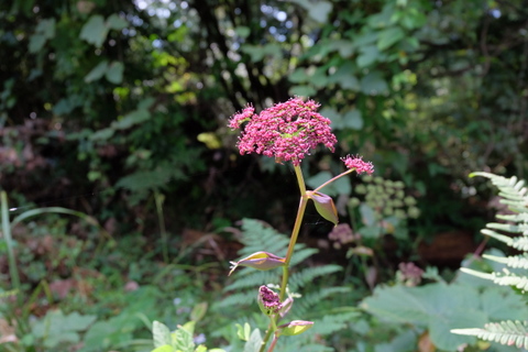b0281732_14284379.jpg