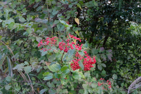 b0281732_14285133.jpg