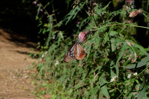 b0281732_14301337.jpg