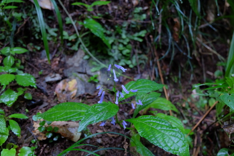 b0281732_14304352.jpg