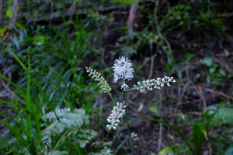 b0281732_1430504.jpg