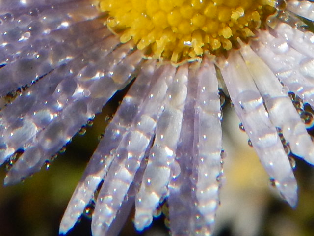 f0118332_20351587.jpg