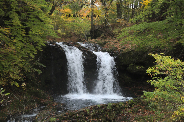 f0311132_21213476.jpg