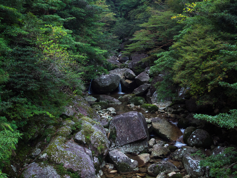 b0219833_00034626.jpg