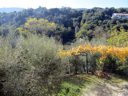 f0234936_8363481.jpg
