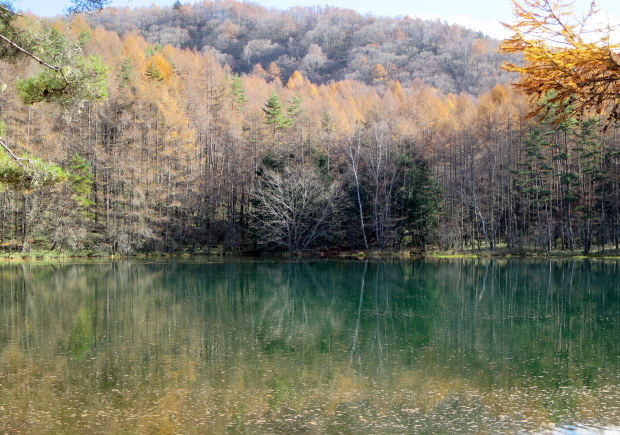 b0178339_00573394.jpg