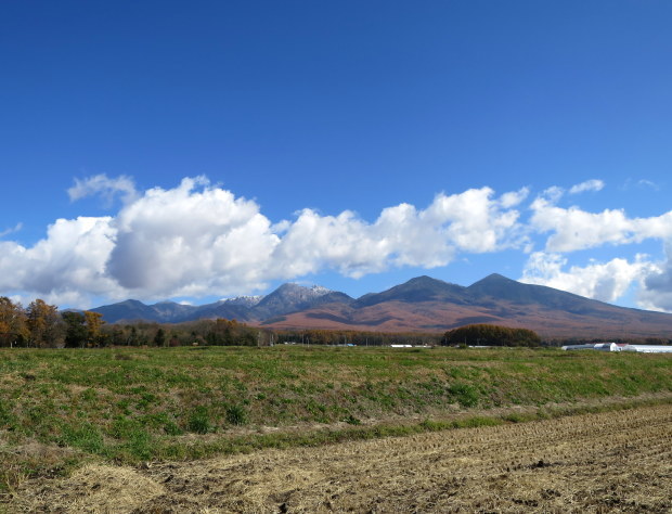 b0178339_00584521.jpg