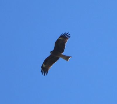 b0178339_00595908.jpg