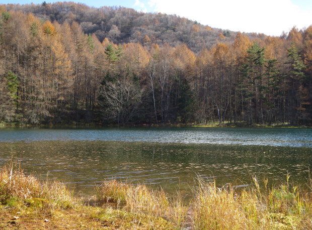 b0178339_01214764.jpg