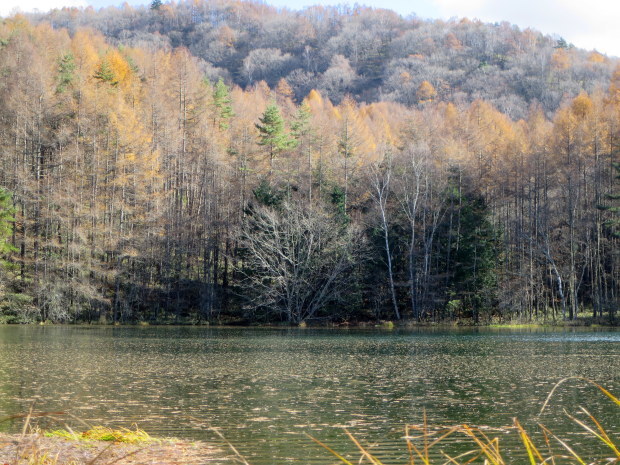 b0178339_01240064.jpg